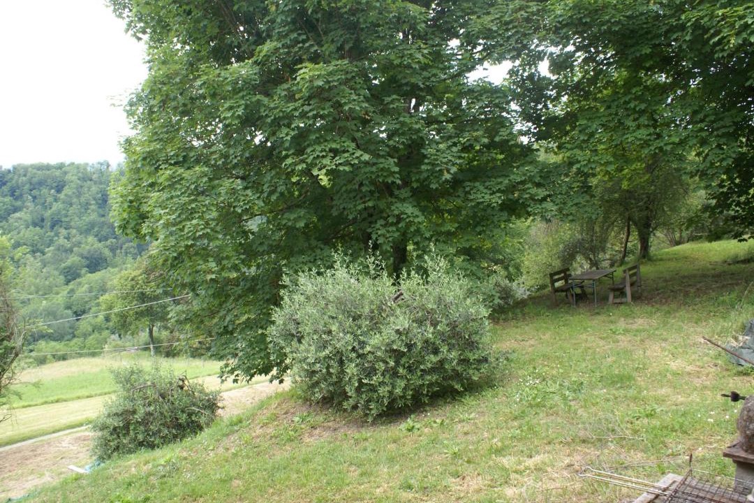 Photo of Outdoor in Mologno