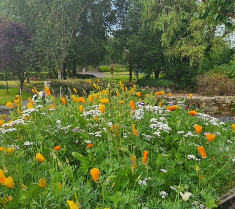 Photo of Outdoor in Enniskillen