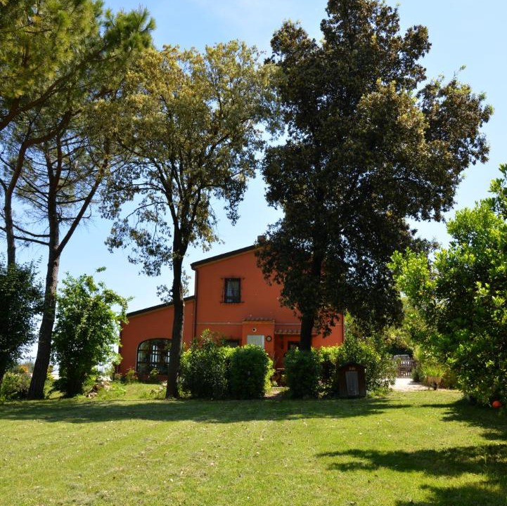 Photo of Others in Offagna