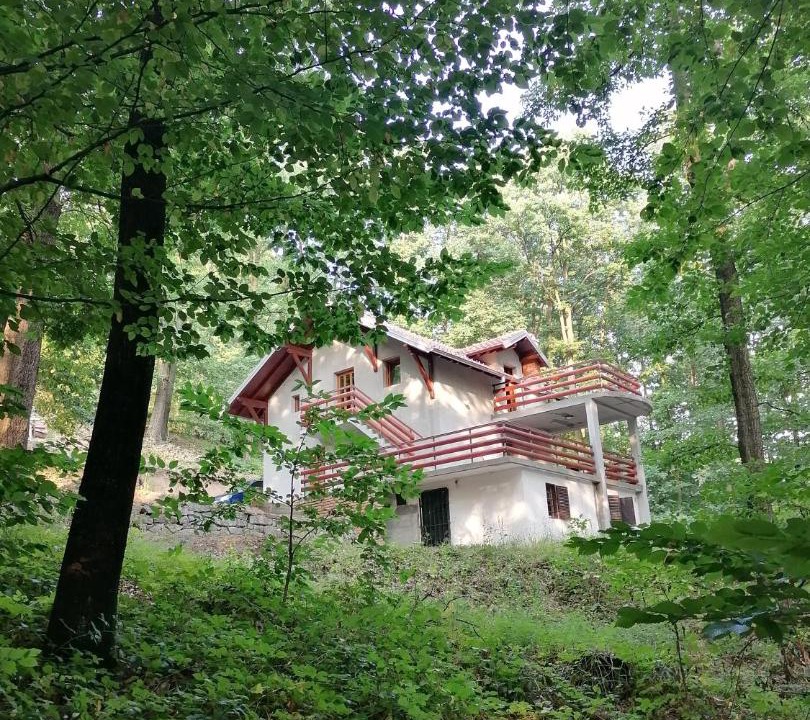 Photo of Others in Mladenovac