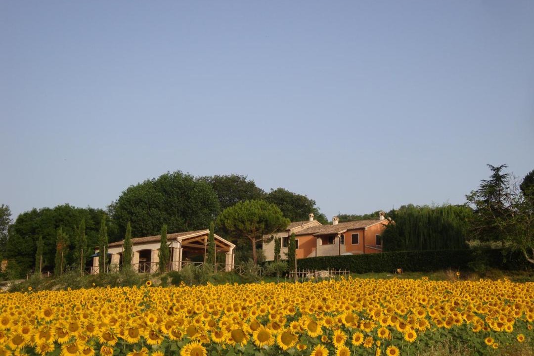 Photo of Others in Ancona