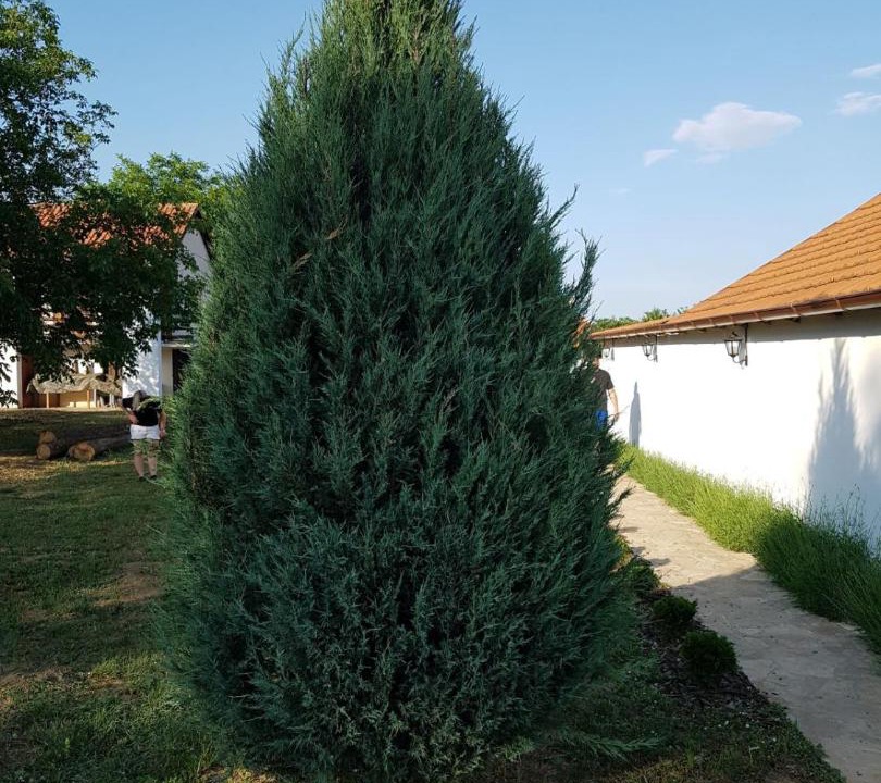 Photo of Outdoor in Petrovaradin