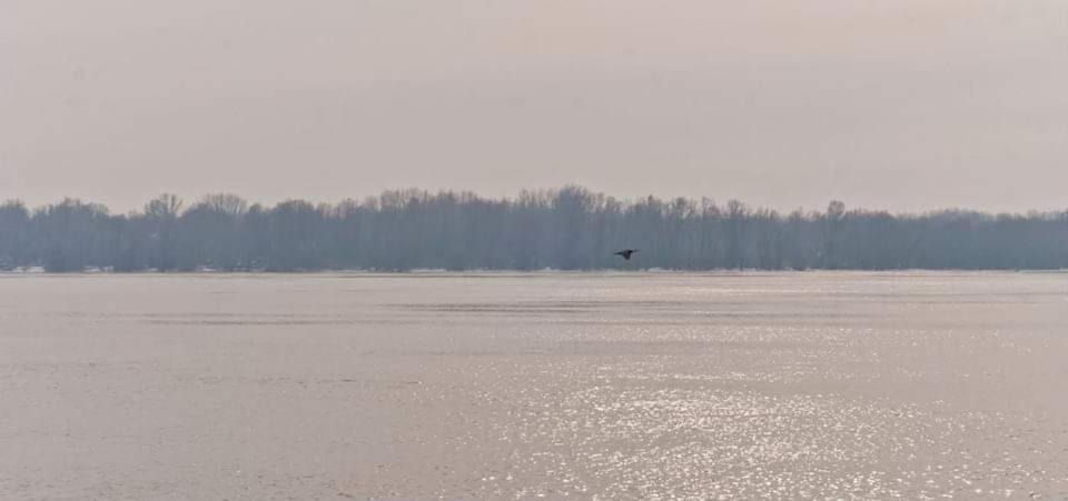 Photo of Outdoor in Vojvodina