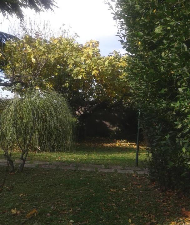 Photo of Outdoor in Atri