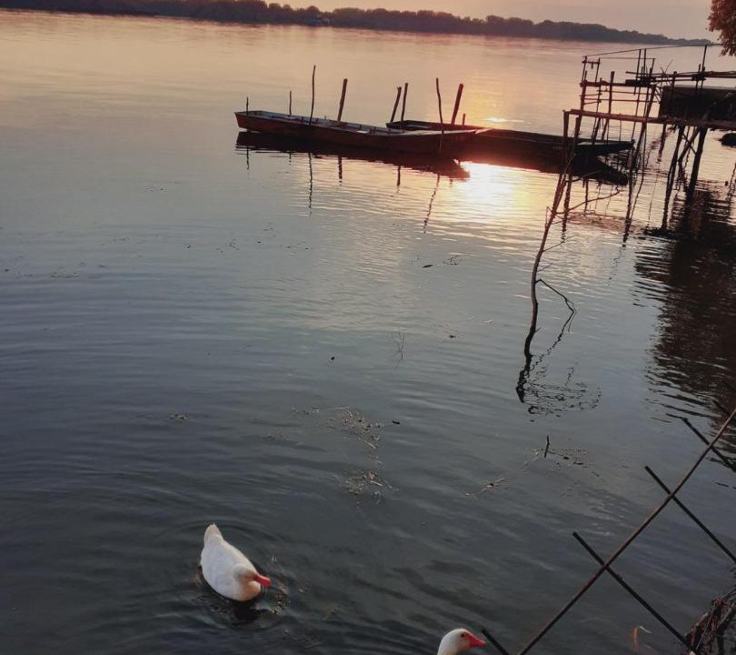Photo of Others in Vojvodina