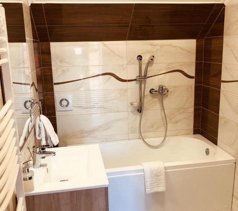 Photo of Bathroom in Central Banat District