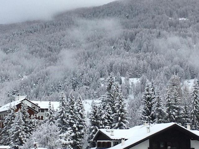 Photo of Others in Sauze d'Oulx