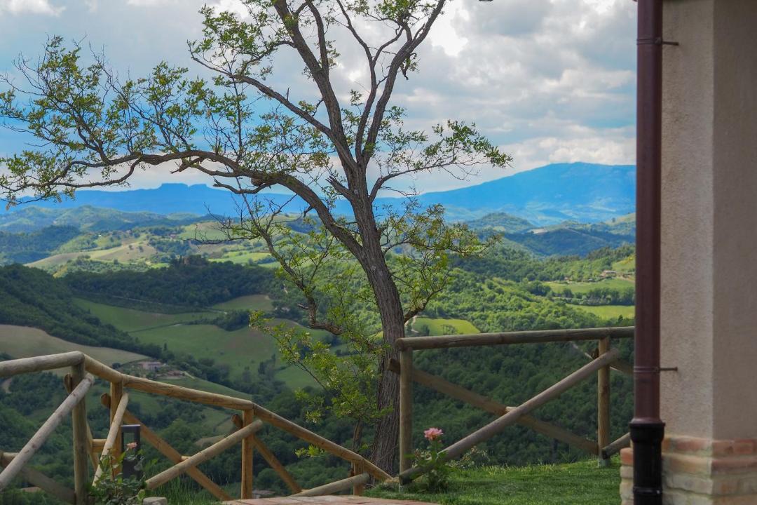 Photo of Others in Urbino