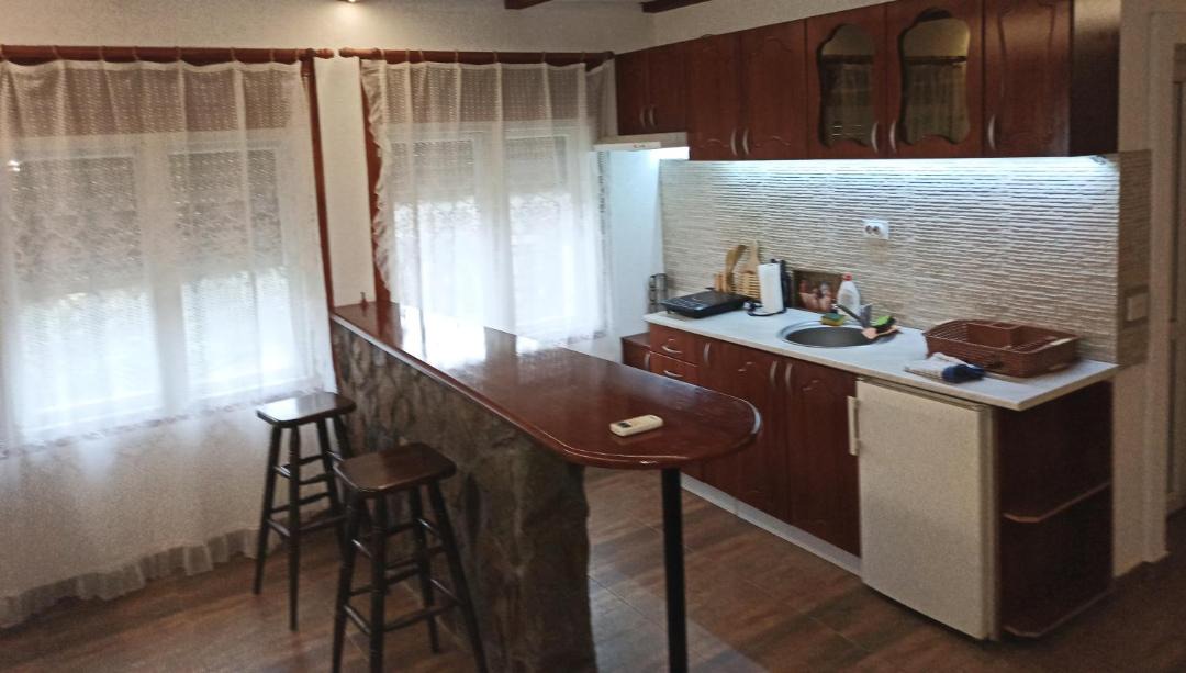 Photo of Kitchen in Nisava District