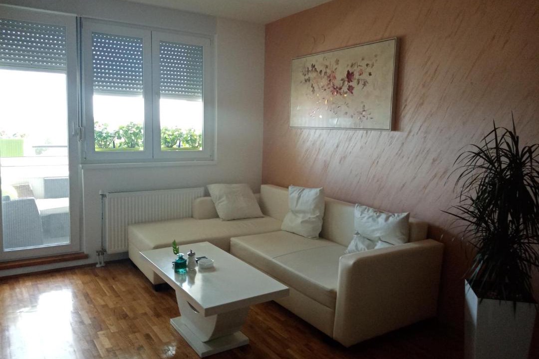 Photo of Livingroom in Nova Pazova