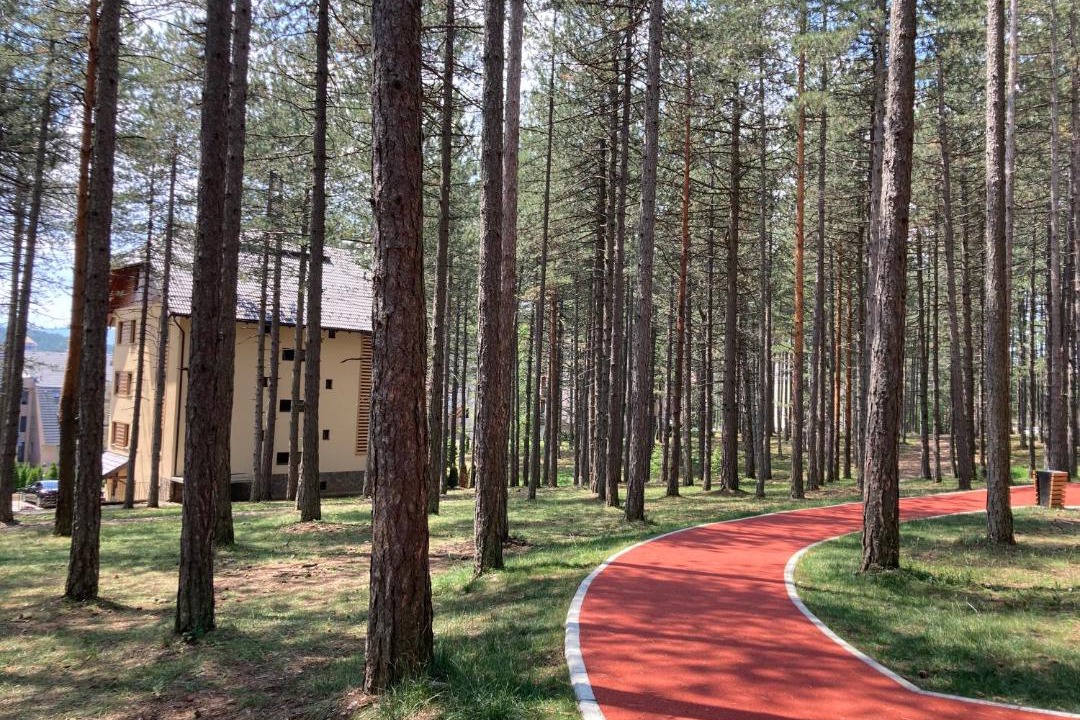 Photo of Others in Zlatibor