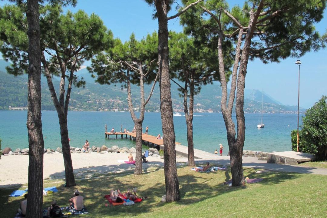 Photo of Others in Portese