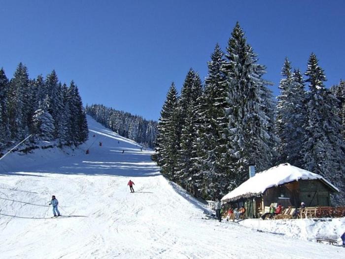 Photo of Others in Lisina