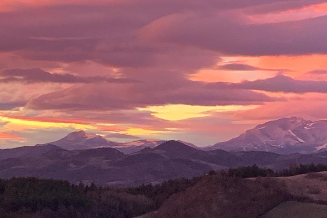 Photo of Others in Urbino