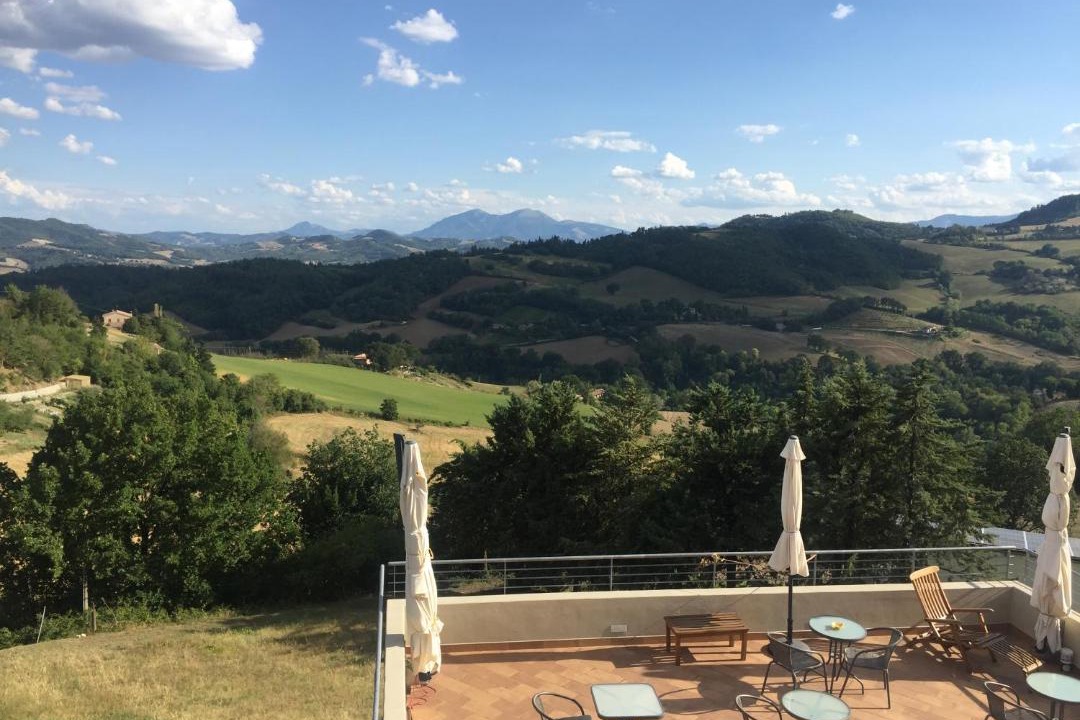 Photo of Others in Urbino
