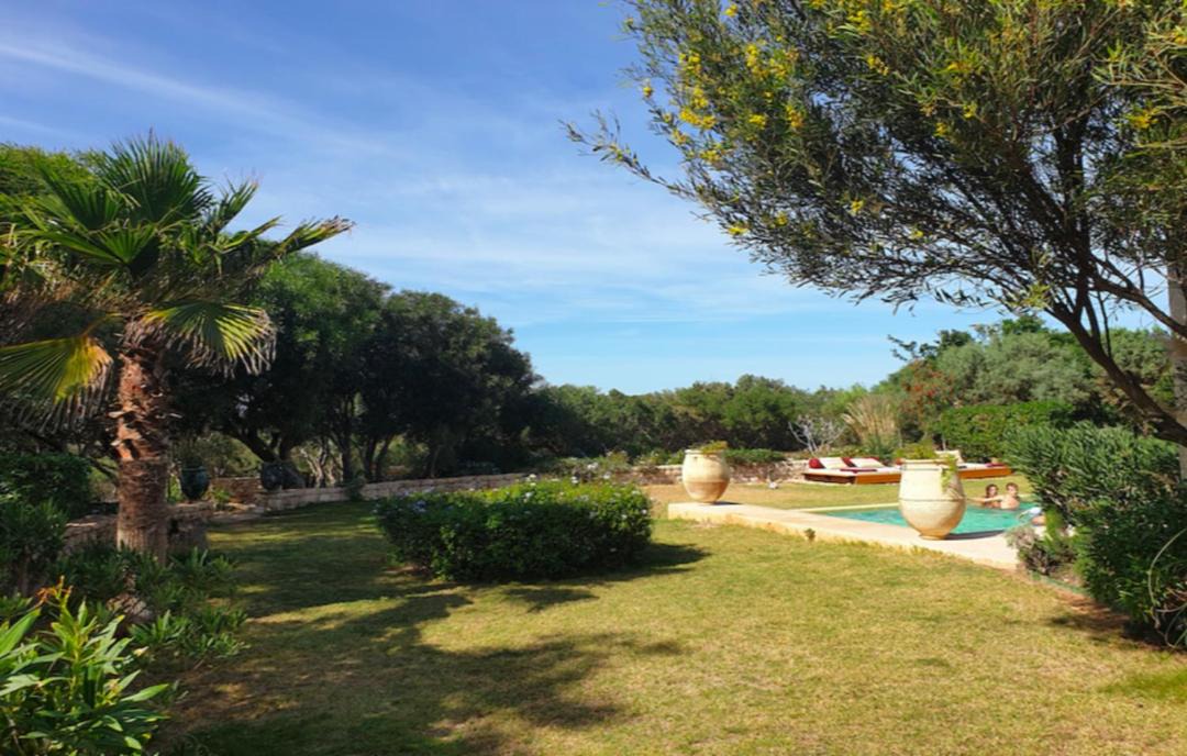 Photo of Outdoor in Essaouira