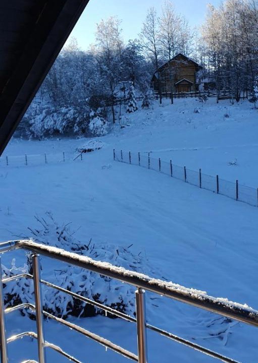 Photo of Others in Zlatibor
