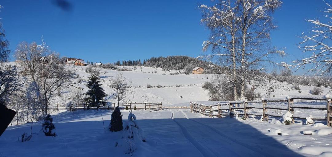 Photo of Others in Zlatibor