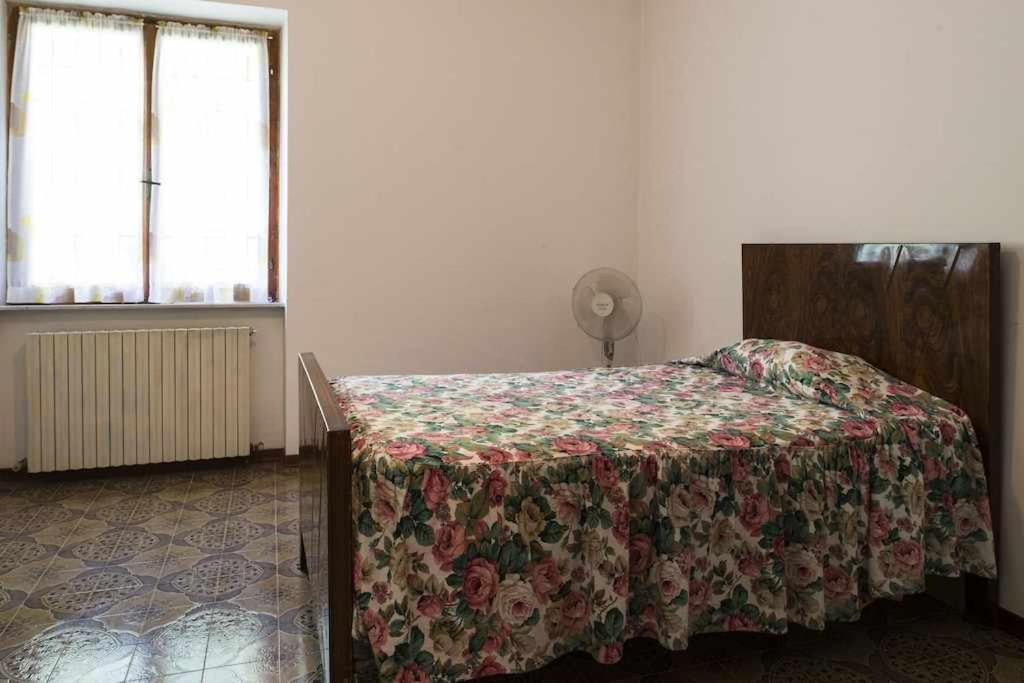 Photo of Others in Monte San Pietrangeli