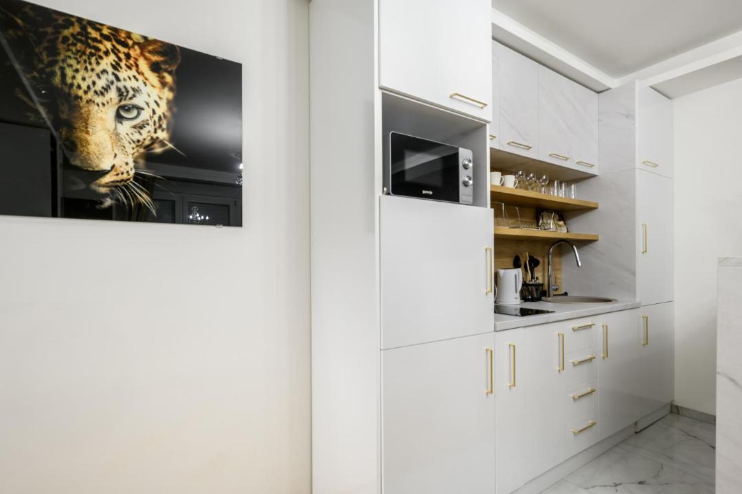 Photo of Kitchen in Slavija