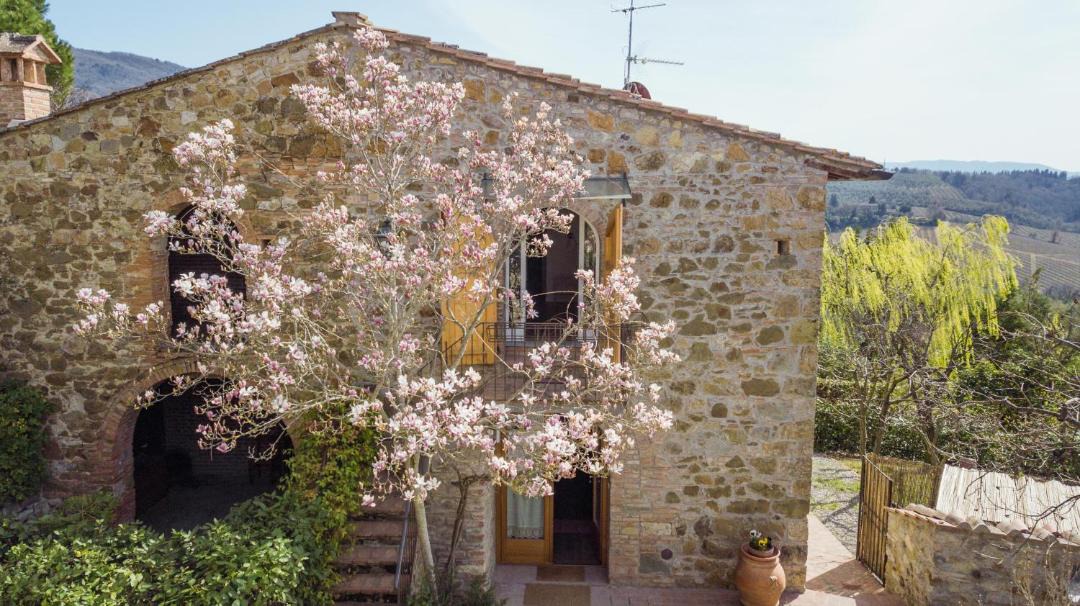 Photo of Others in Greve in Chianti