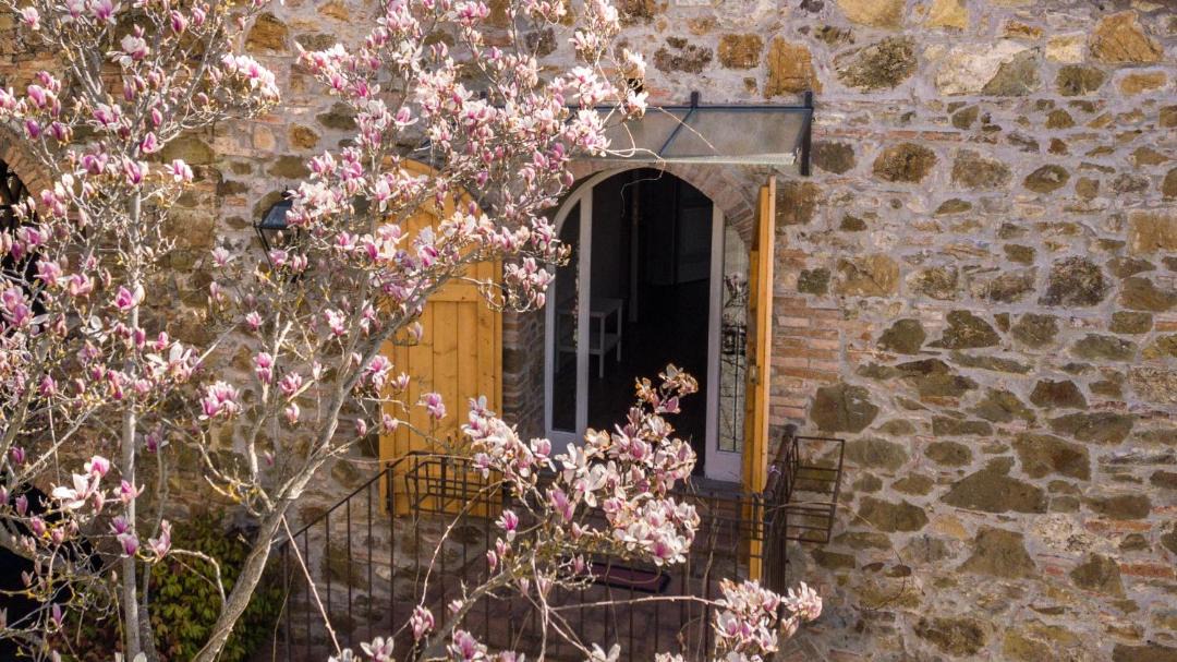 Photo of Others in Greve in Chianti