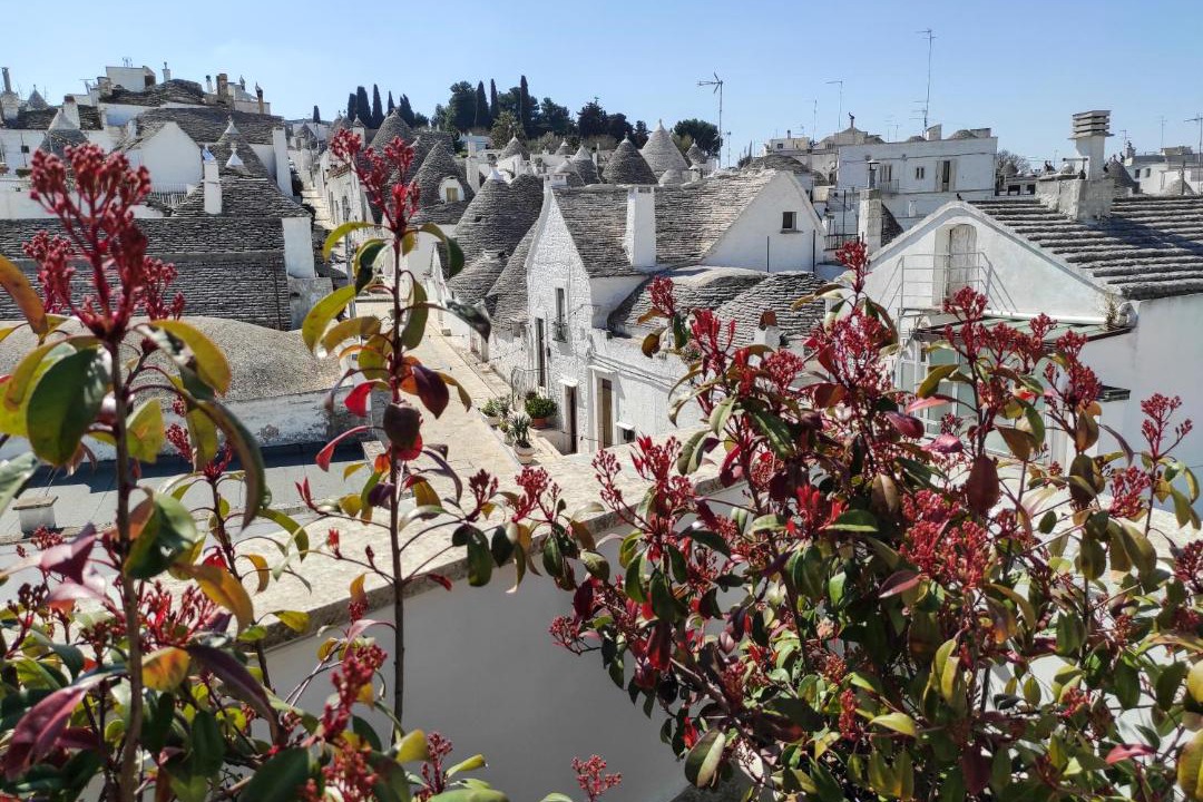 Photo of Others in The Trulli of Alberobello