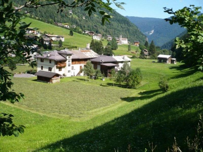 Photo of Others in Pracorno
