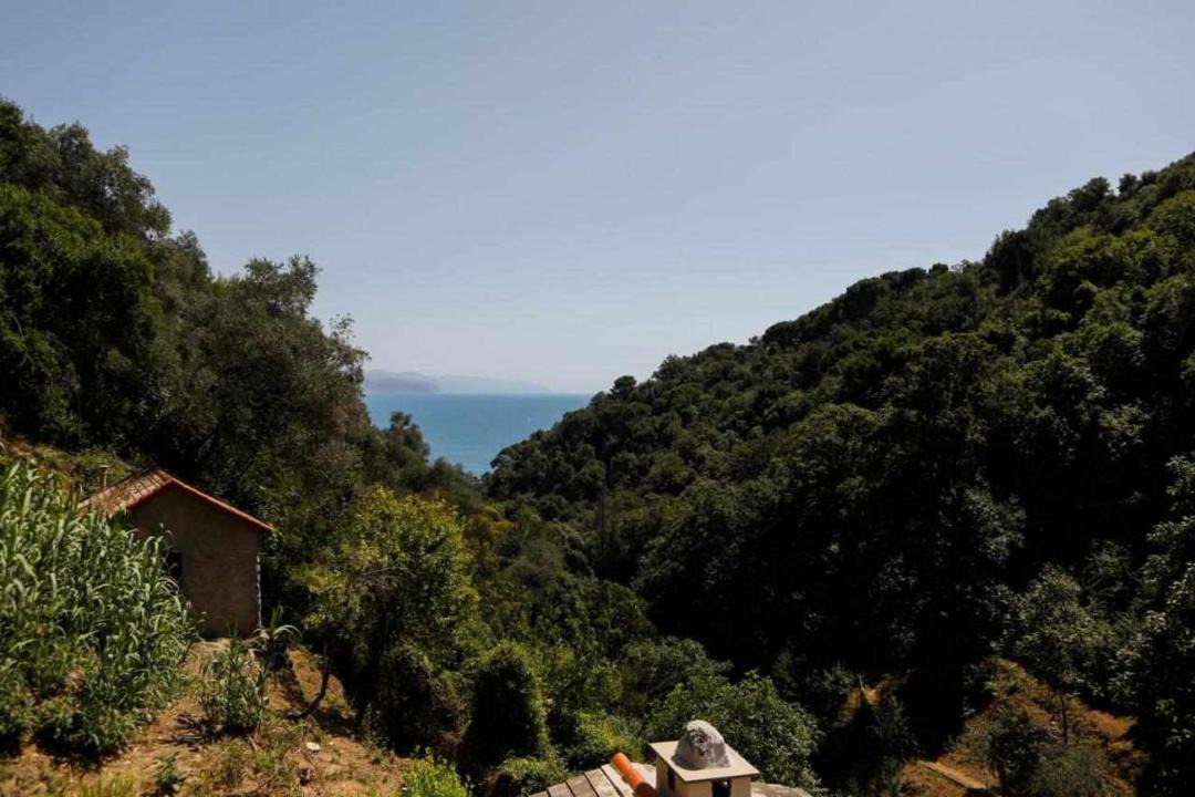 Photo of Others in Portofino