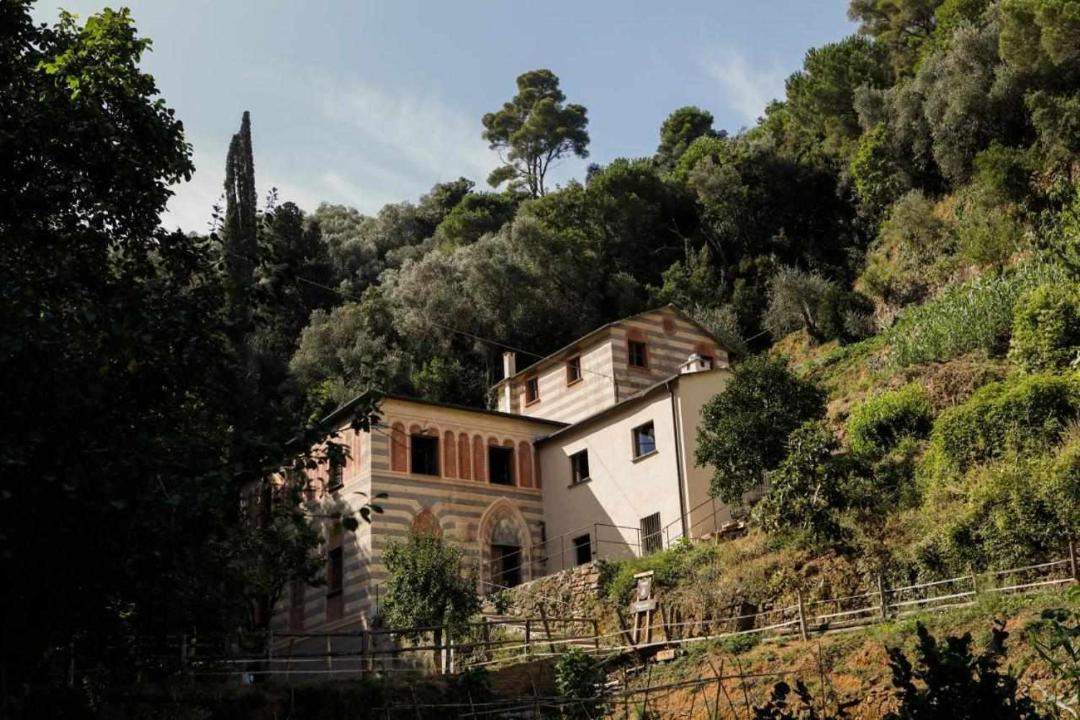 Photo of Others in Portofino