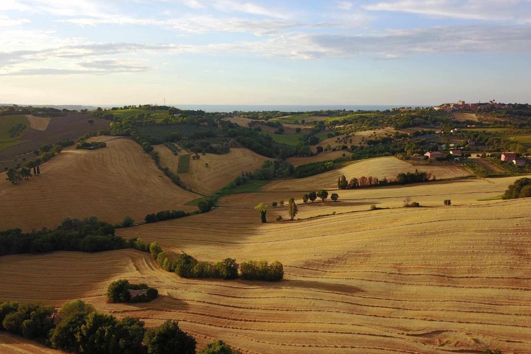 Photo of Outdoor in Senigallia