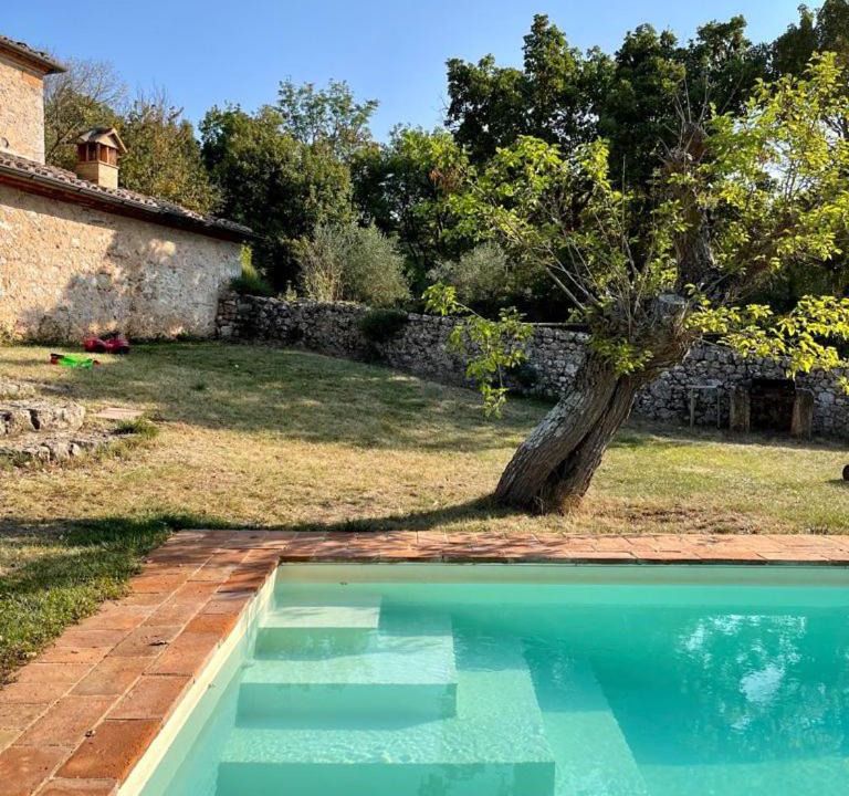 Photo of Others in Monteriggioni