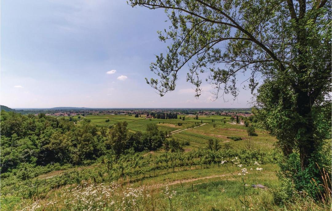 Photo of Outdoor in Corno di Rosazzo