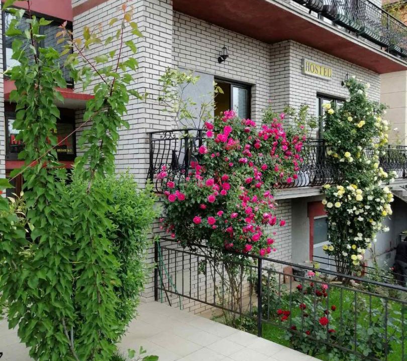 Photo of Buildings in Nis