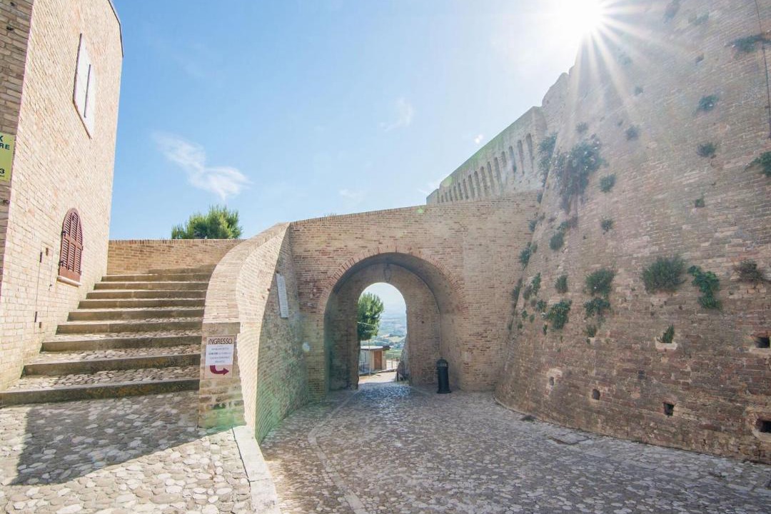 Photo of Others in San Savino