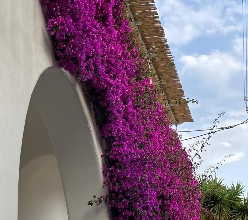 Photo of Others in Capri