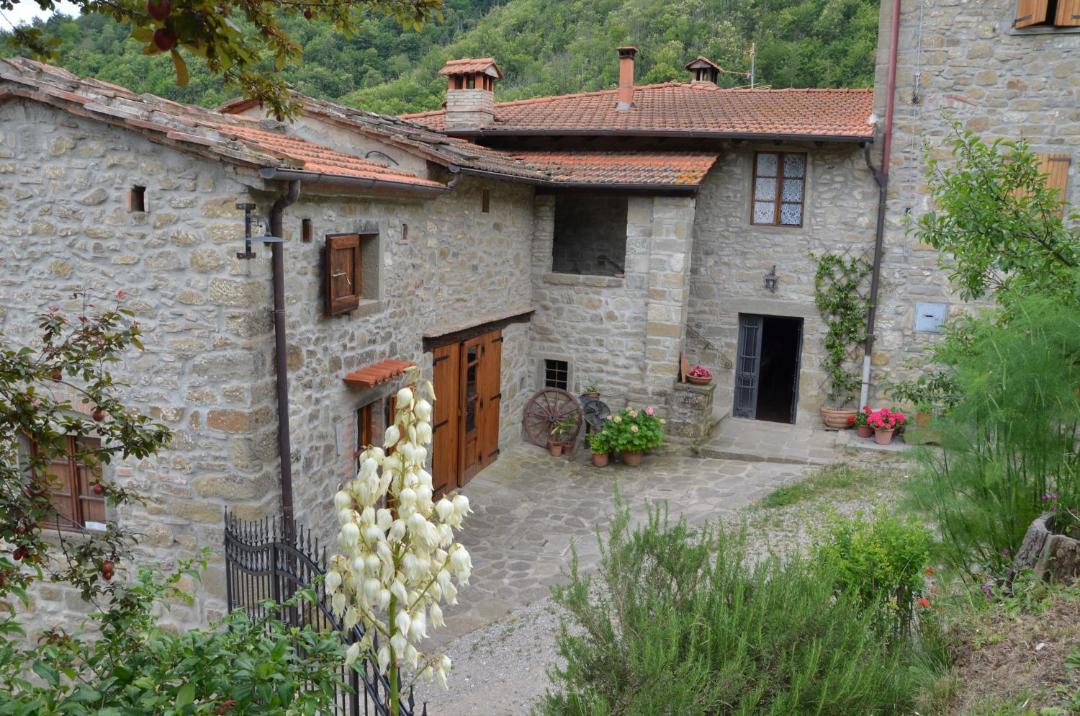 Photo of Others in Pratovecchio