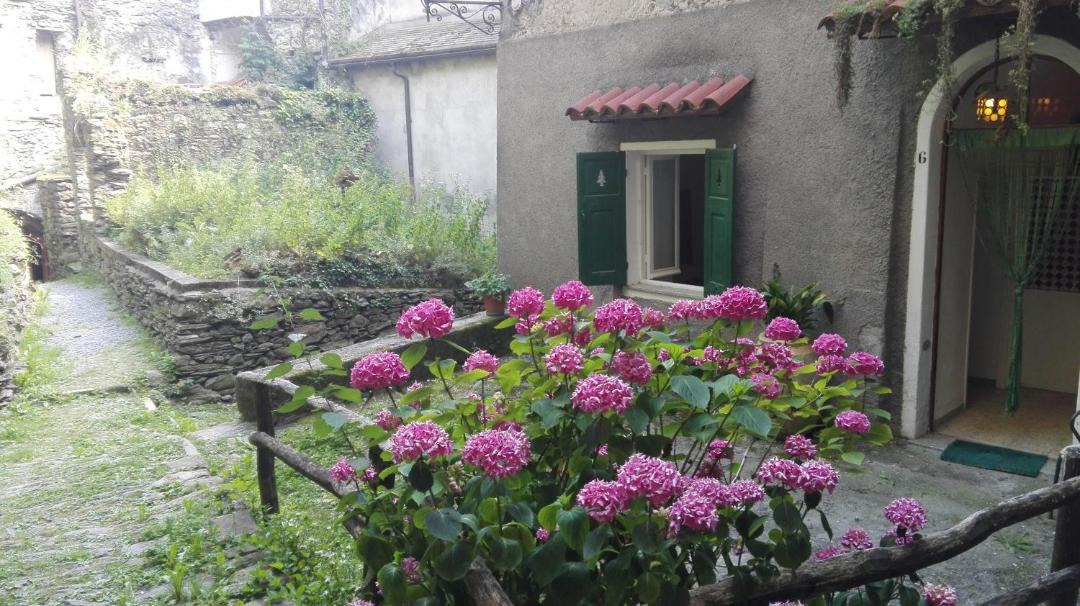Photo of Buildings in Triora