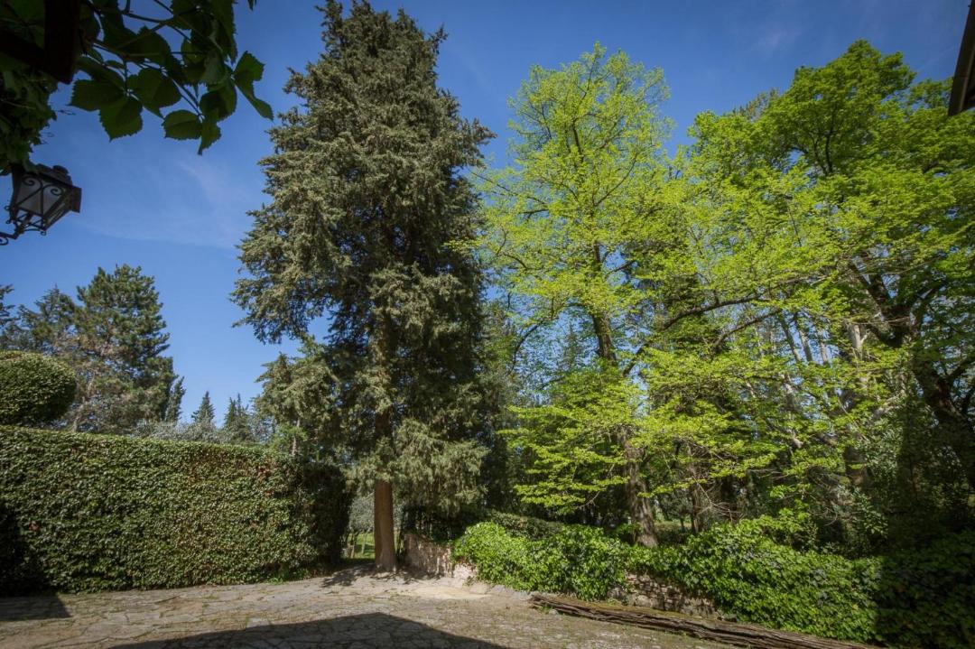 Photo of Outdoor in Oltrarno
