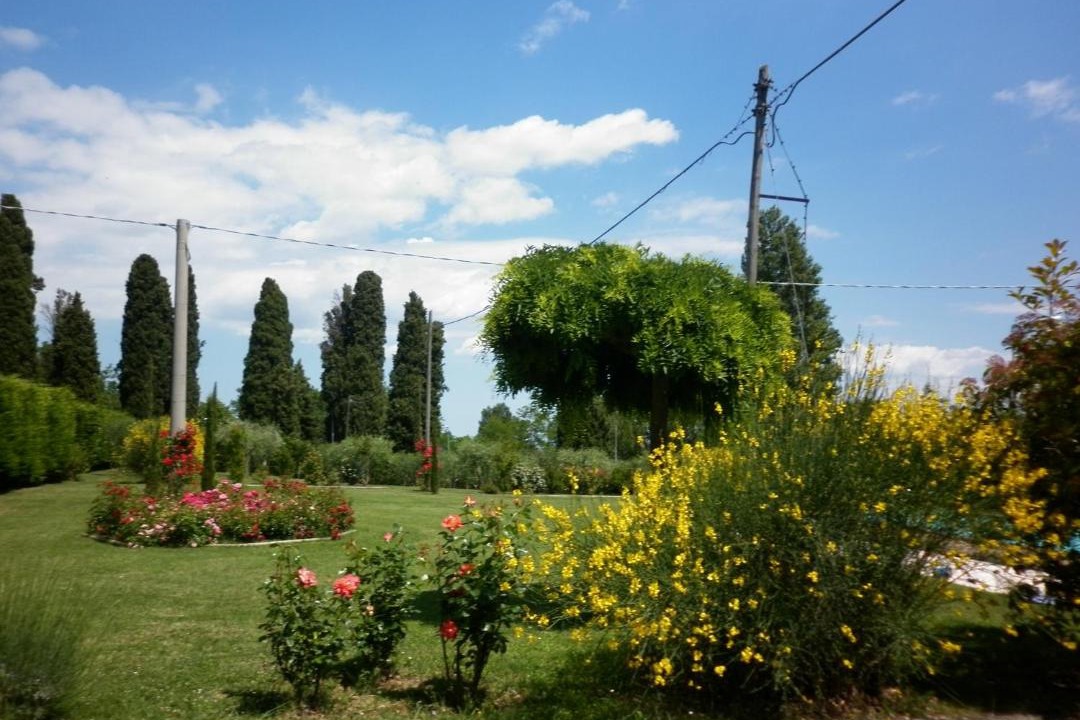Photo of Others in Fratte Rosa