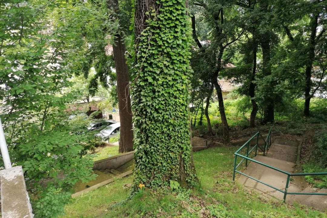 Photo of Others in Vrnjacka Banja