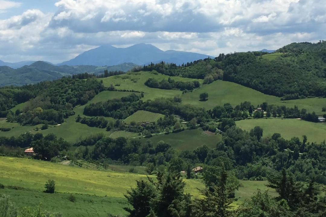 Photo of Others in Urbino