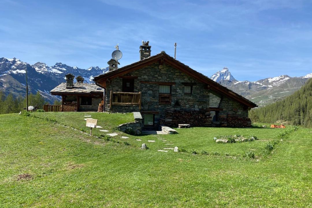 Photo of Others in Valtournenche