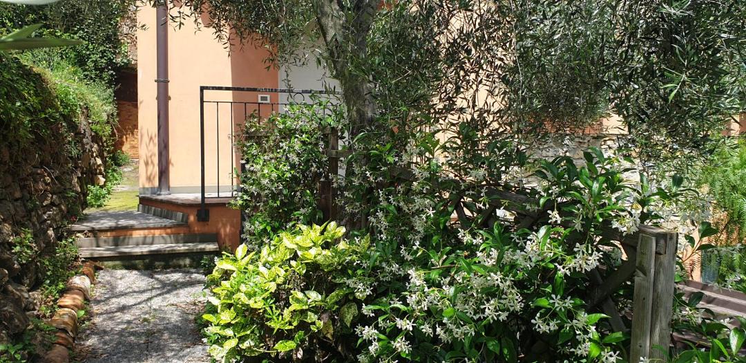Photo of Others in Olivastri