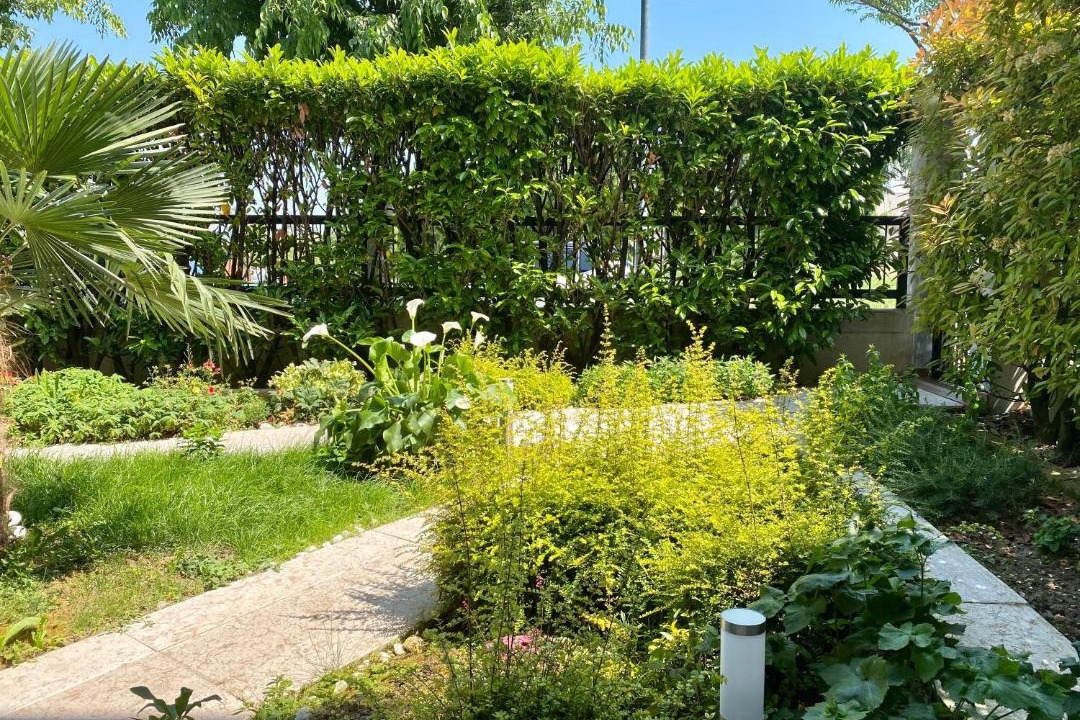 Photo of Outdoor in Desenzano del Garda