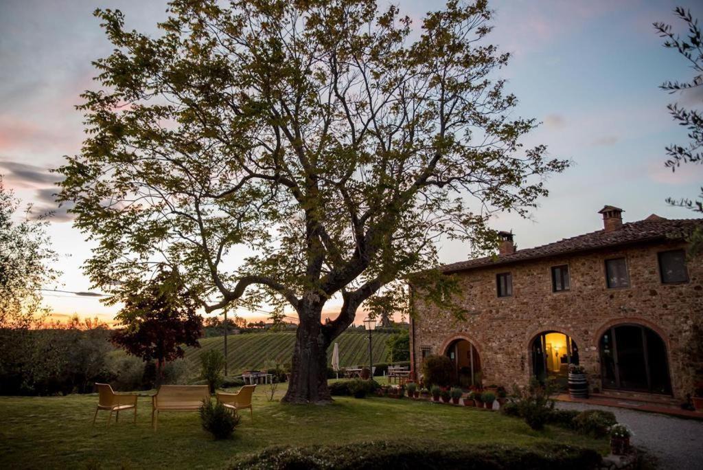 Photo of Others in San Casciano in Val di Pesa