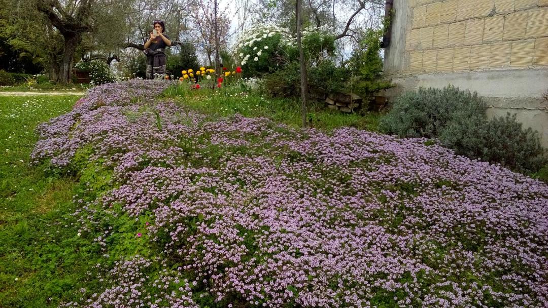 Photo of Outdoor in Pianella