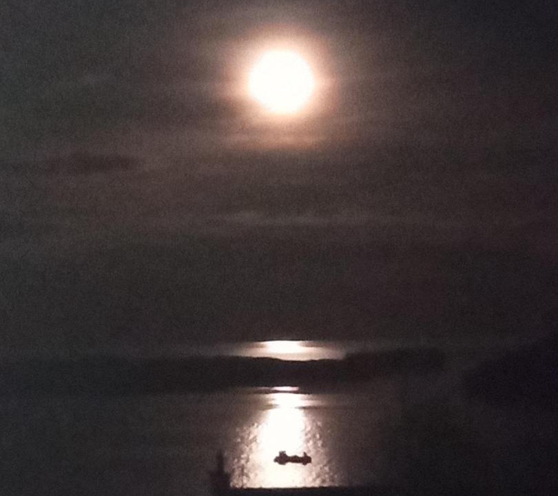 Photo of Others in Tobermory