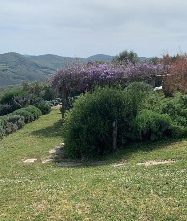 Photo of Others in Volpaia