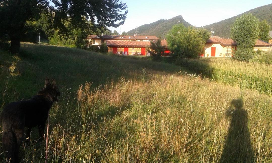 Photo of Others in Paratico